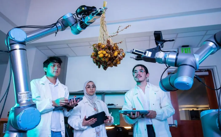 KAUST Develops AI-Powered Robots to Transform Date Palm Farming