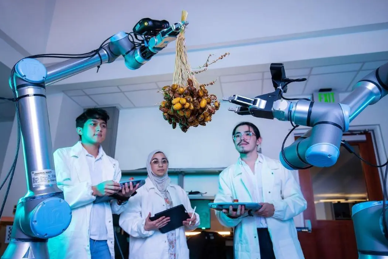 KAUST Develops AI-Powered Robots to Transform Date Palm Farming